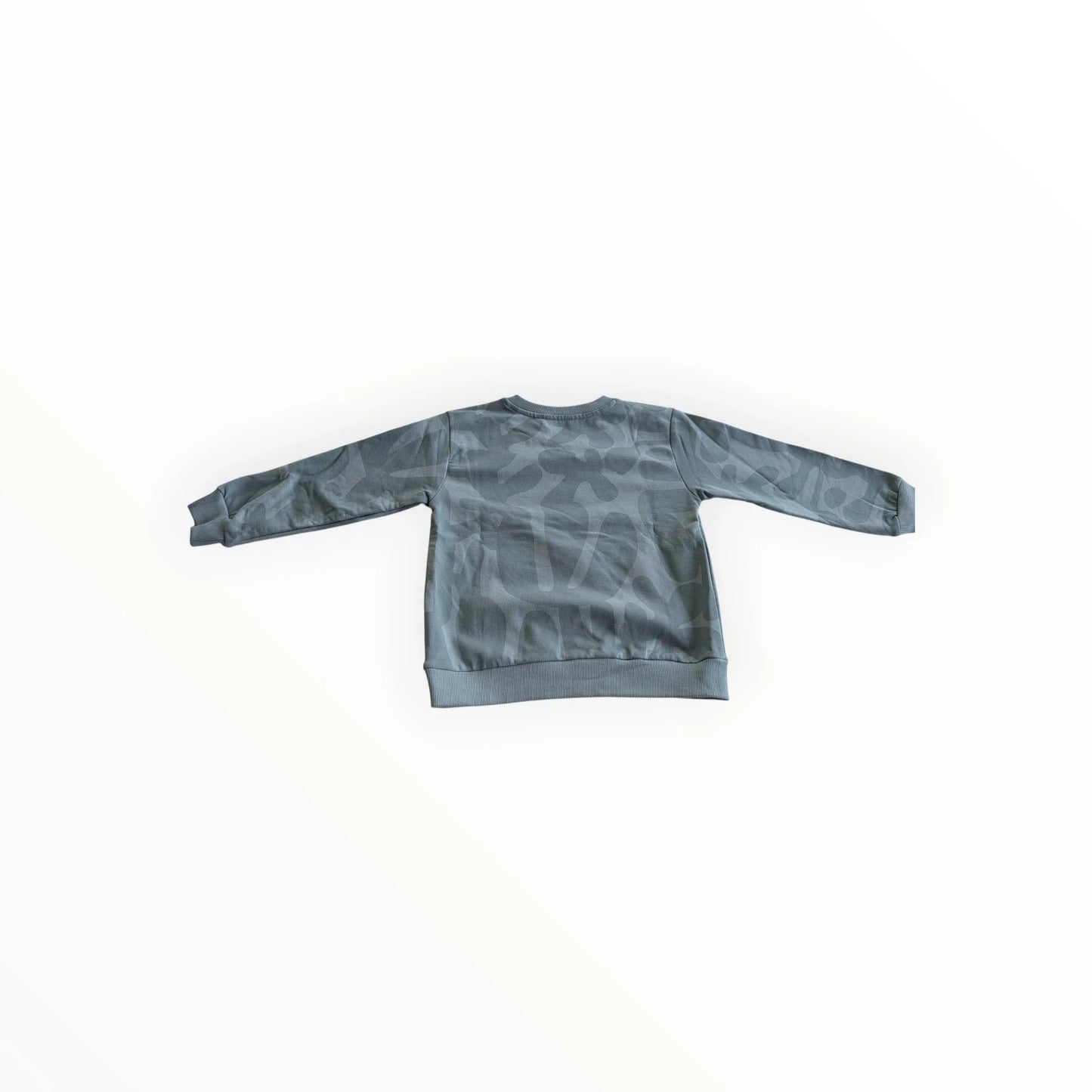 Pierrot Outlet jongens sweater met grafische print in blauwgrijs, ronde hals, lange mouwen en elastische boorden.