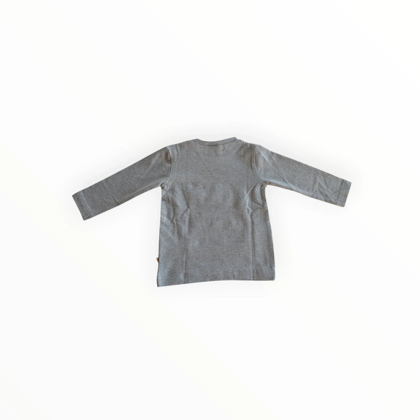 Pierrot Outlet grijze katoenen longsleeve T-shirt voor jongens met skateboardprint