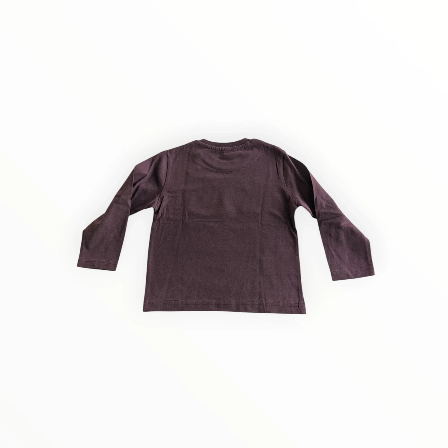 Pierrot Outlet bruin katoenen T-shirt met lange mouwen en ruimteprint voor kinderen