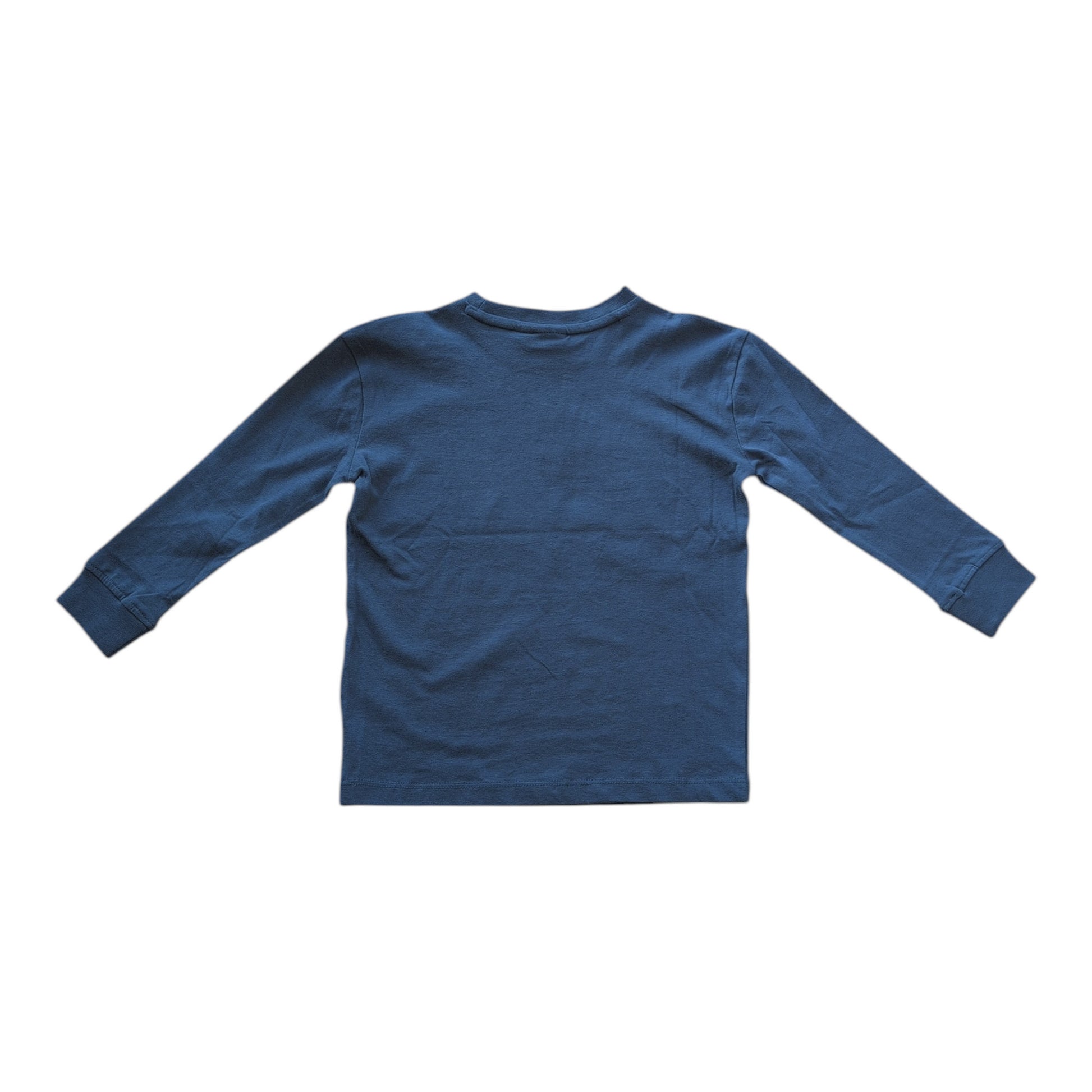 Pierrot Outlet blauw katoenen T-shirt met lange mouwen en dinosaurusprint voor jongens.