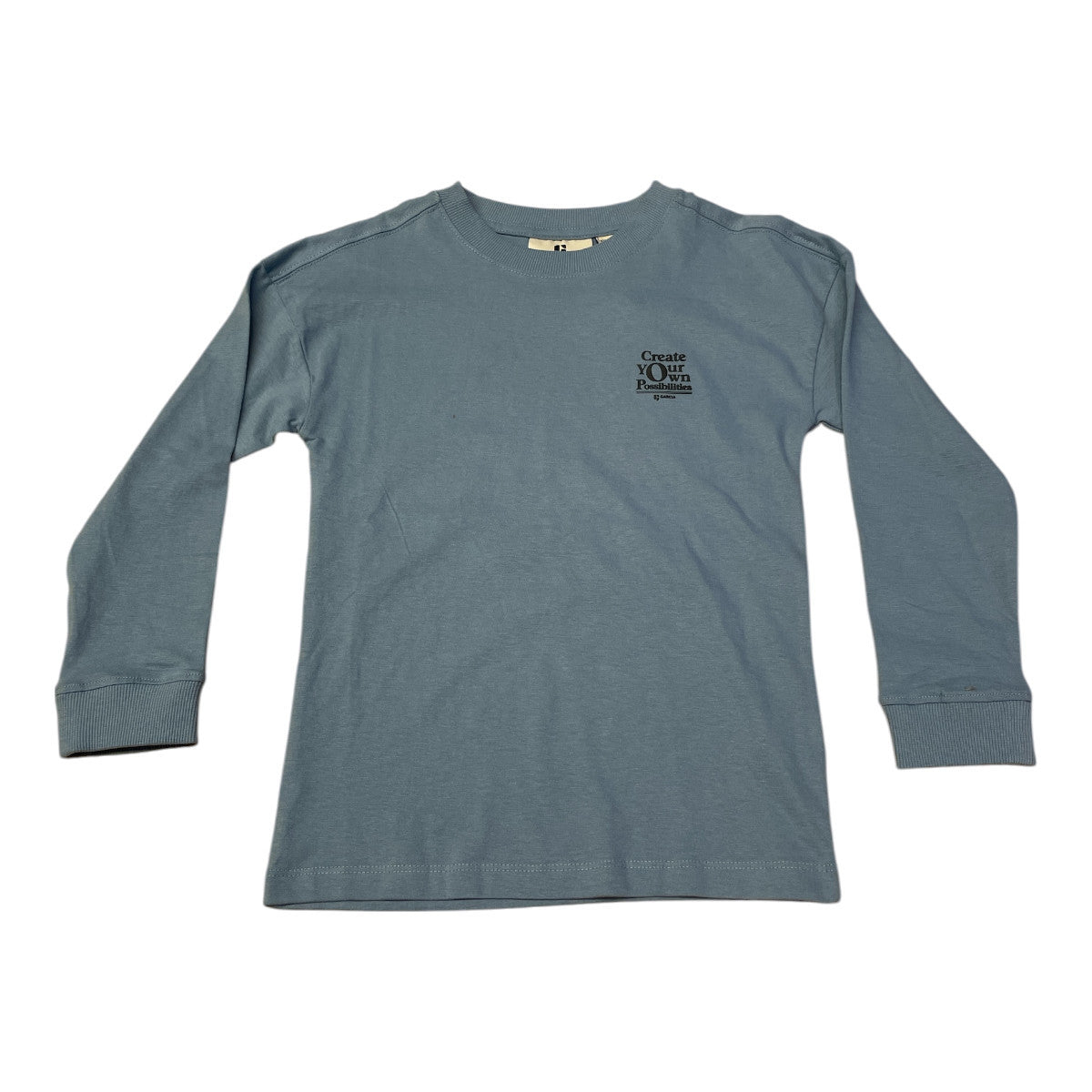 Pierrot Outlet blauw katoenen T-shirt met lange mouwen en tekstprint 'Create YOUR own Possibilities' op de rug.