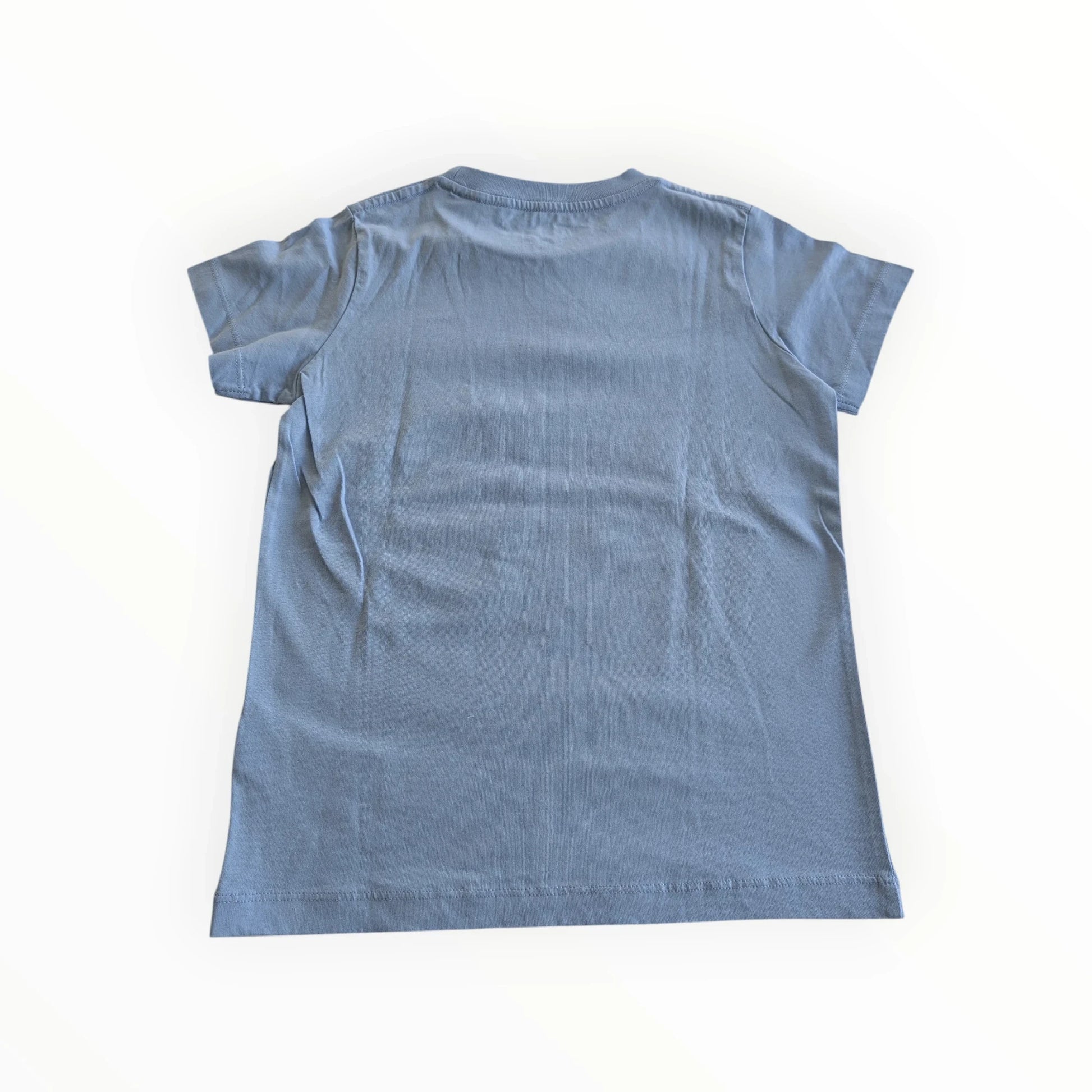 Pierrot Outlet blauw katoenen T-shirt met korte mouwen en ronde hals, met 'SUMMER VIBES' print.