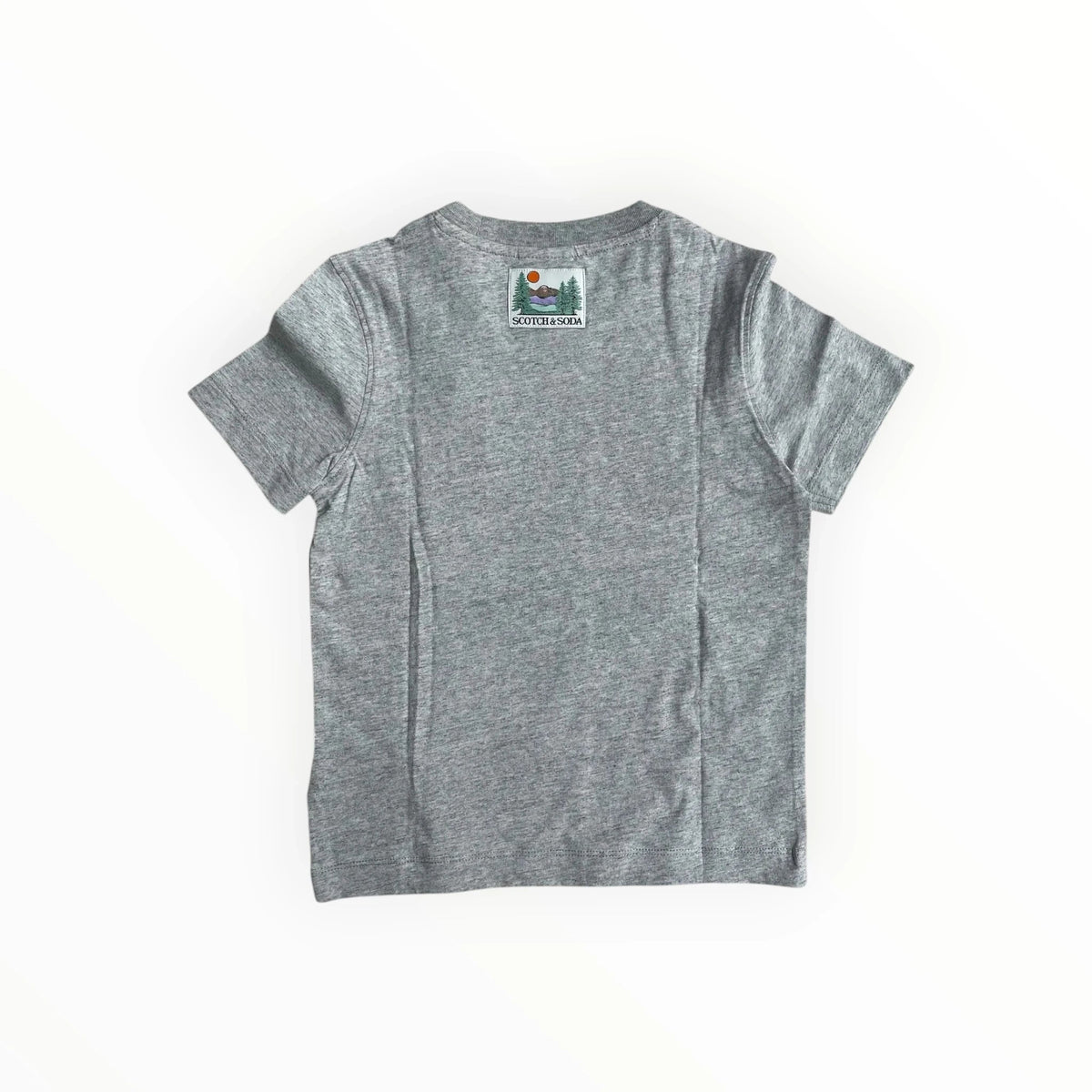 Grijs katoenen T-shirt voor jongens van Pierrot Outlet met merklabel in de nek en korte mouwen.