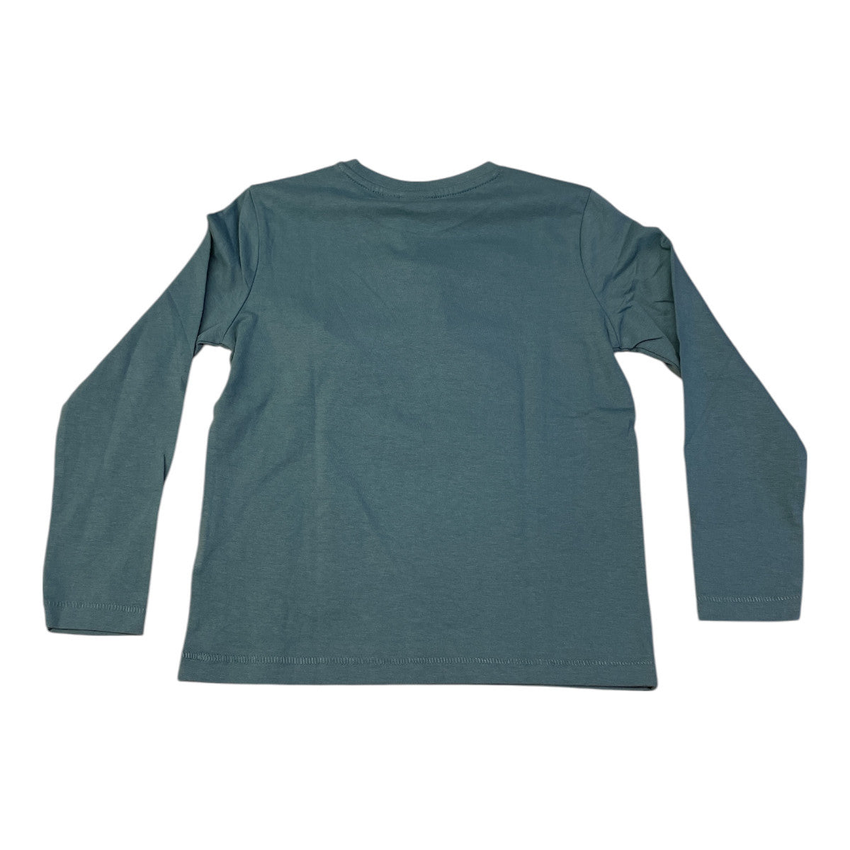 Pierrot Outlet jongens longsleeve t-shirt met ijsbeerprint en tekst 'THE LONE RANGER' op de voorkant, gemaakt van katoen.
