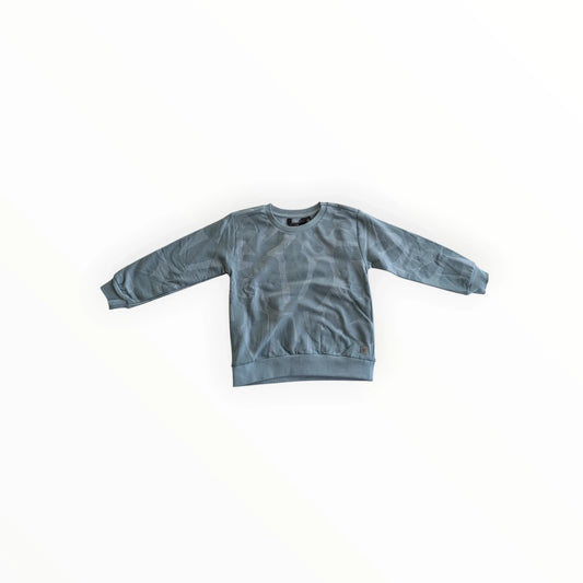 Pierrot Outlet jongens sweater met grafische print in blauwgrijs, ronde hals, lange mouwen.