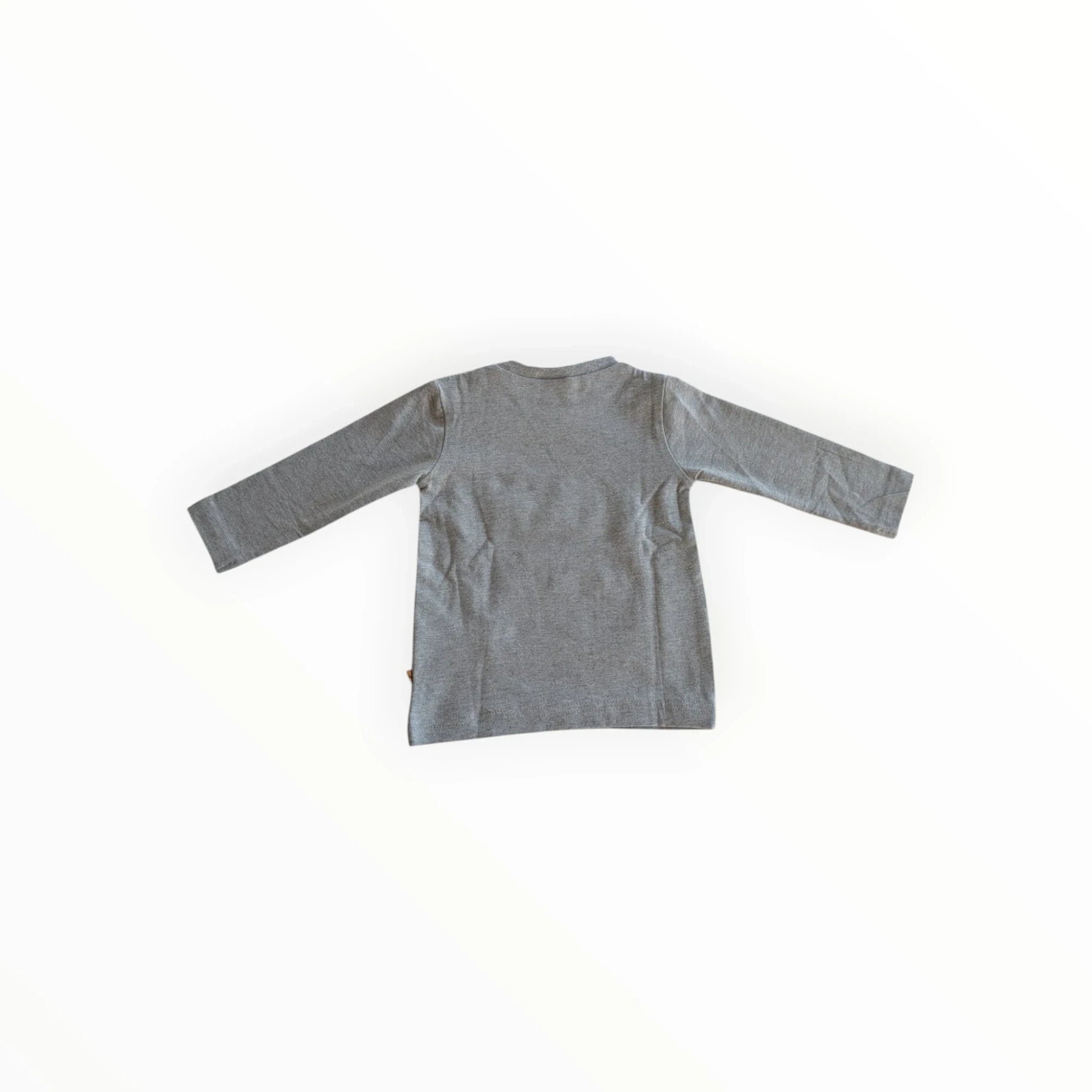 Pierrot Outlet grijze katoenen longsleeve T-shirt voor jongens met skateboardprint