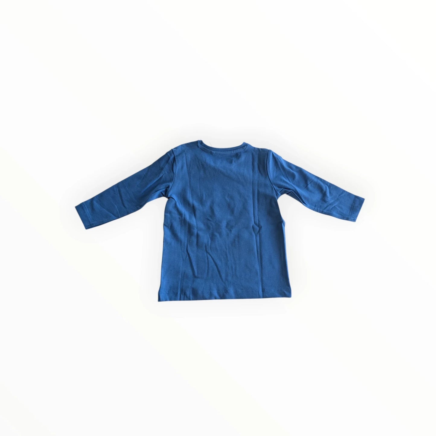 Pierrot Outlet blauw katoenen T-shirt met lange mouwen en fruitprint voor kinderen