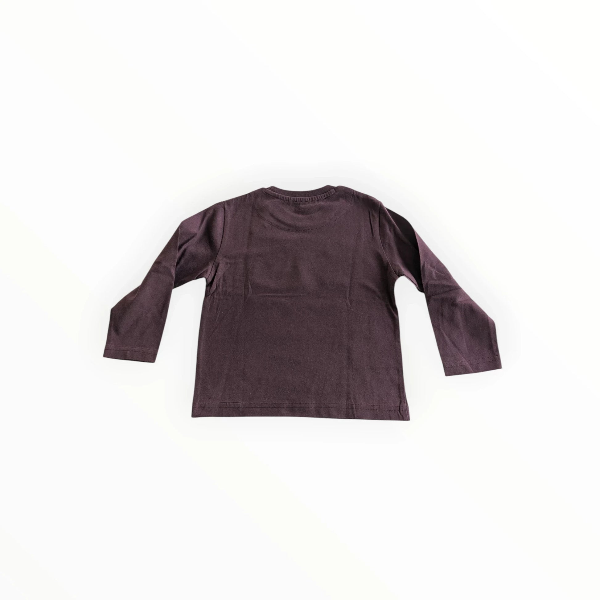 Pierrot Outlet bruin katoenen T-shirt met lange mouwen en ruimteprint voor kinderen
