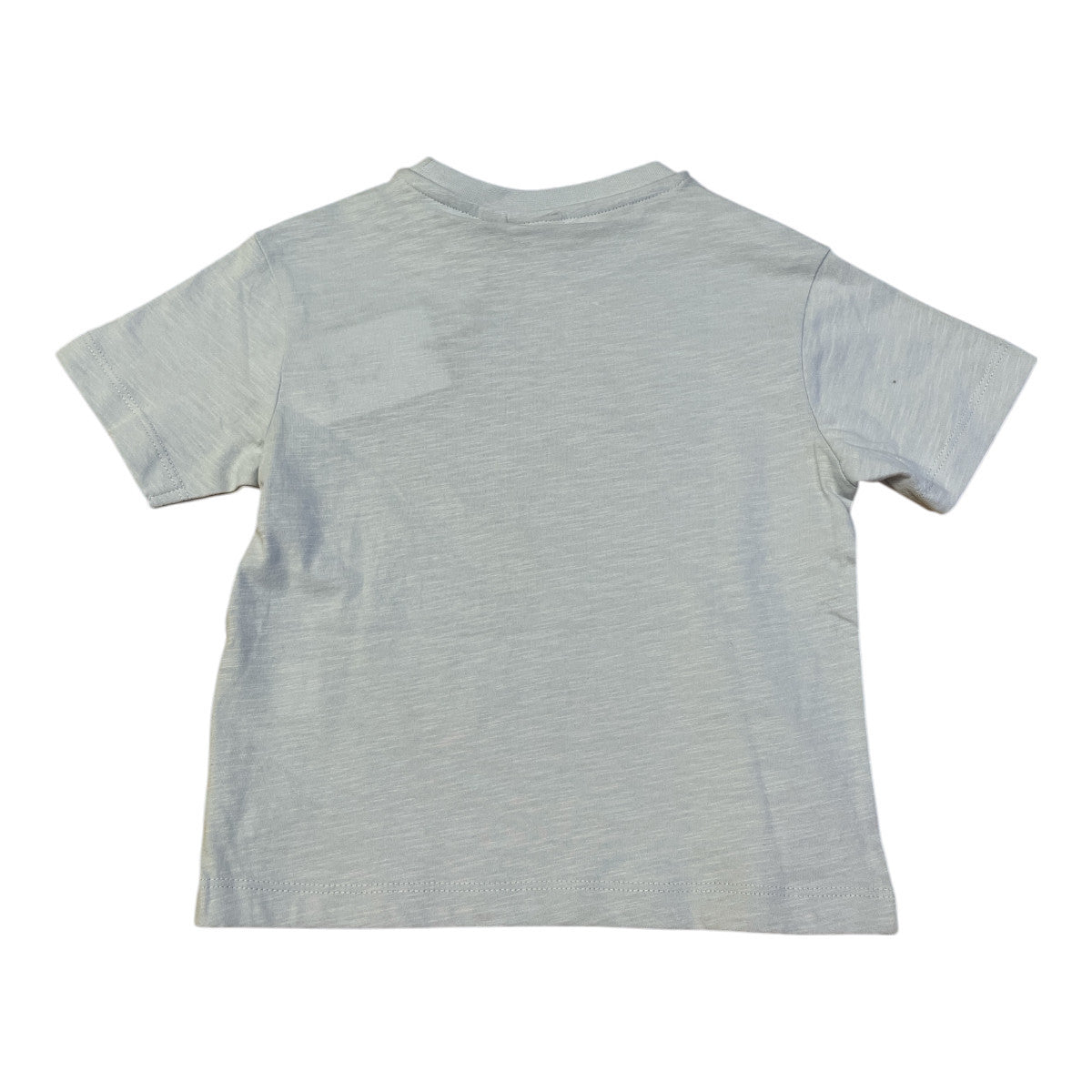 Pierrot Outlet lichtblauwe katoenen T-shirt met korte mouwen en surfprint voor jongens.