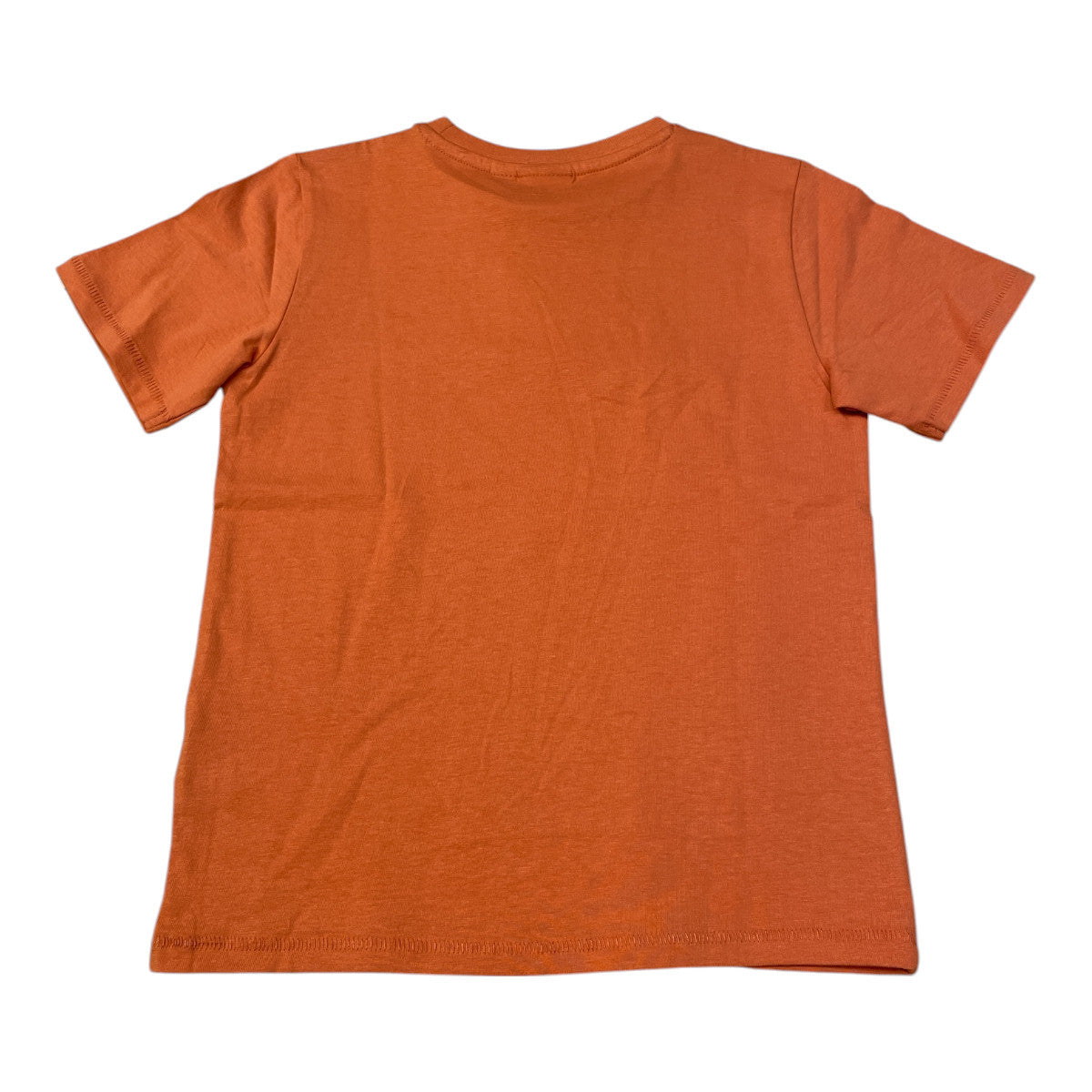 Pierrot Outlet oranje katoenen T-shirt voor jongens met korte mouwen en een ronde hals. Met opdruk.